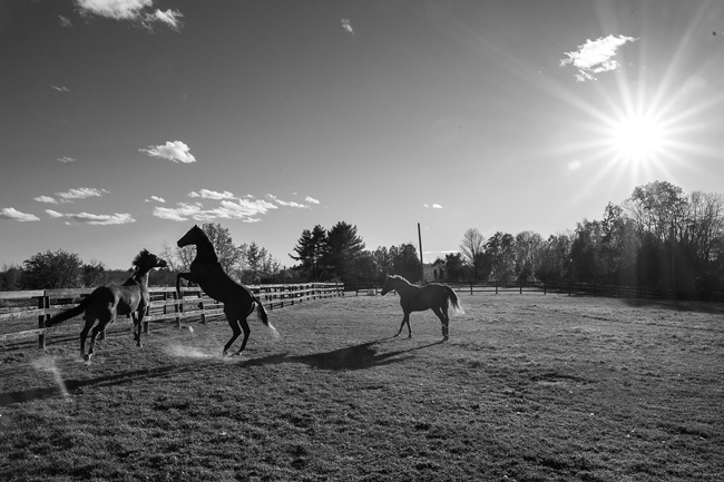 Joan K. Lentini photo Joan K. Lentini photo