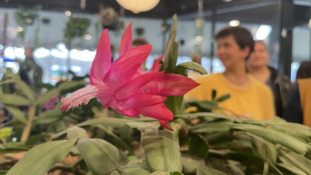 A crowd gathers at an open house at the Plant Connector in downtown North Adams. Press photo by Kate Abbott