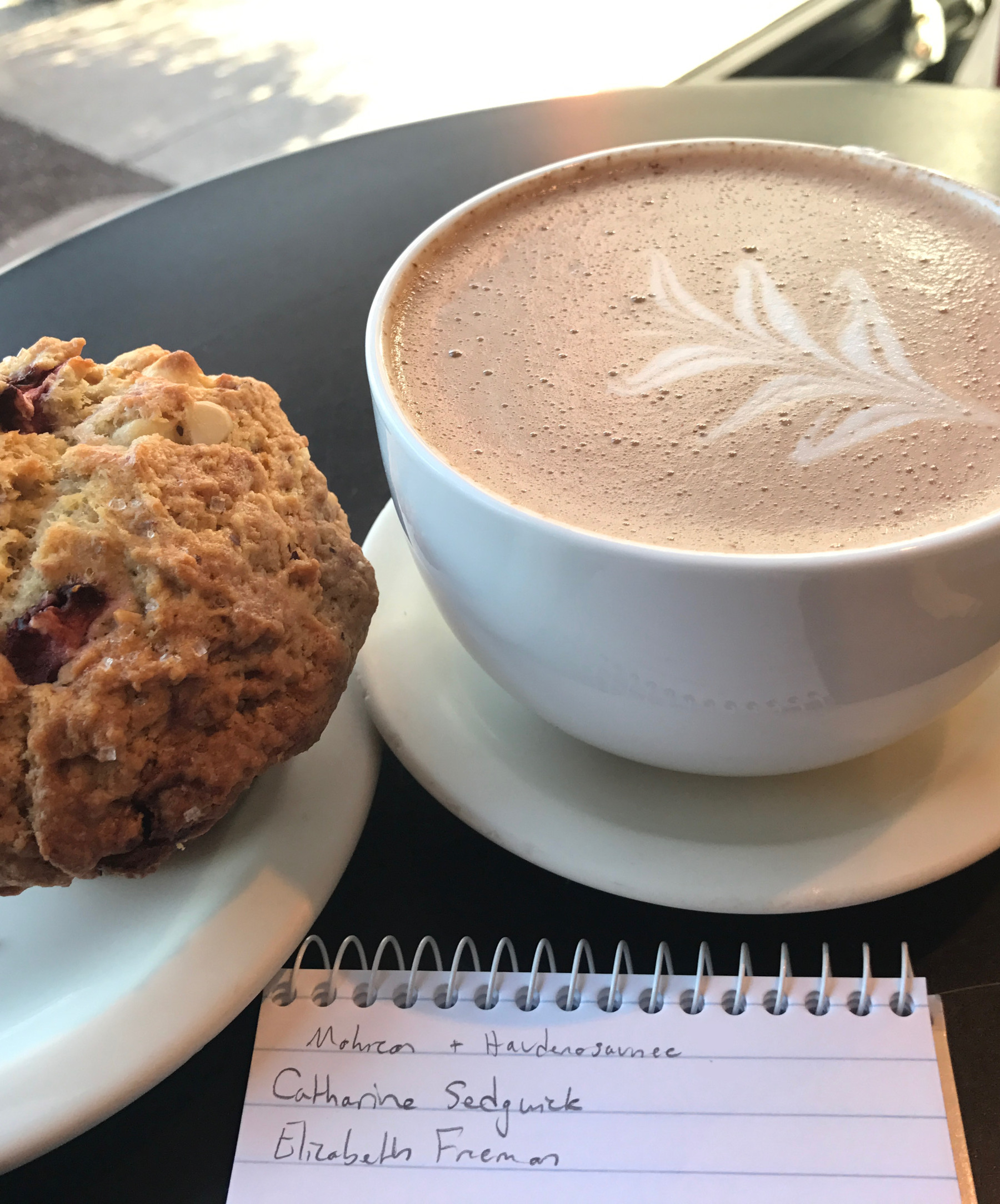 A muffin and cocoa and a notebook sit in the sunlight at Tunnel City Coffee in Williamstown. Photo by Kate Abbott