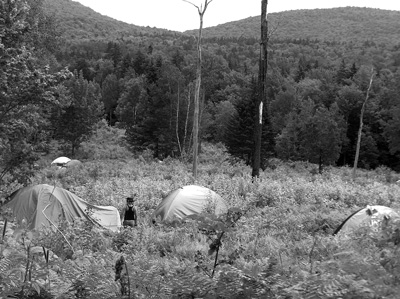 Counterculture lives on as Rainbow Gathering visits Vermont