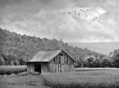 Brush strokes for conservation