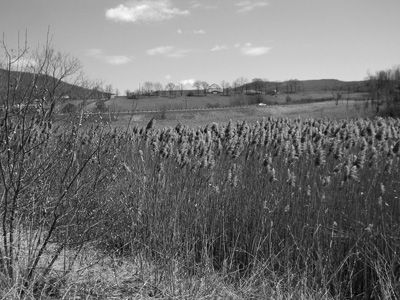 Vermont’s new anti-sprawl law faces test in Rutland