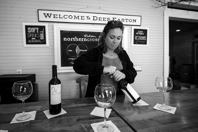 Northern Cross Vineyard