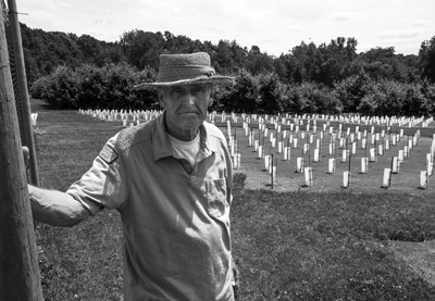 Chestnut Tree orchard photo by Susan Sabino