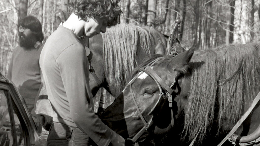 A student strokes the nose of a horse at the Center for Resourceful Living. Press photo courtesy of the Archives of Freel Library, Massachusetts College of Liberal Arts