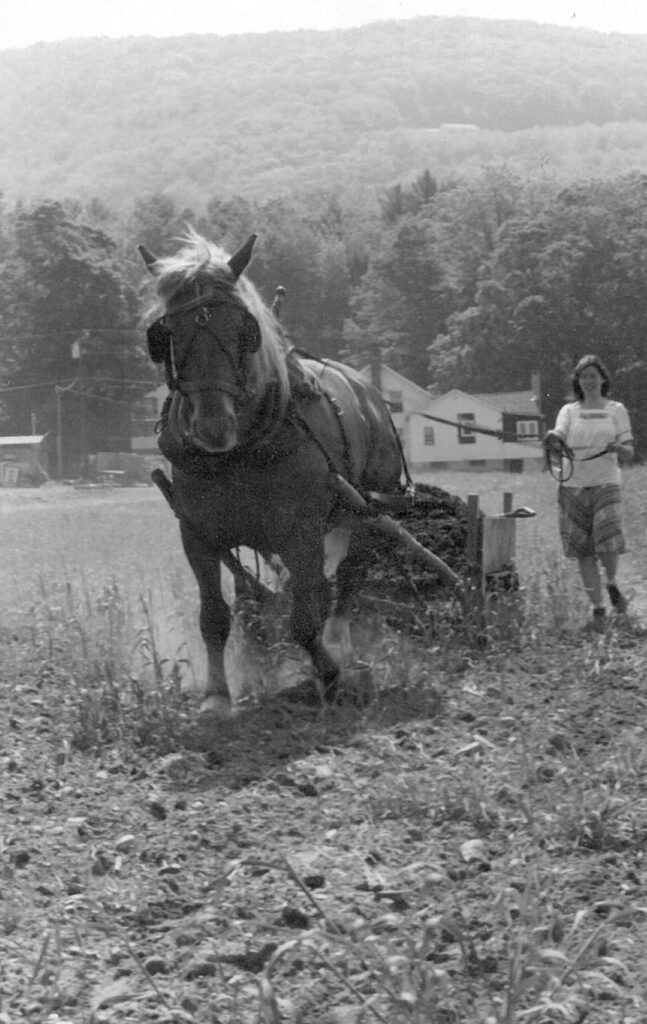 Mary Ann spreads manure in the garden with a horse-drawn spreader at the Center for Resourceful Living. Press photo courtesy of the artist