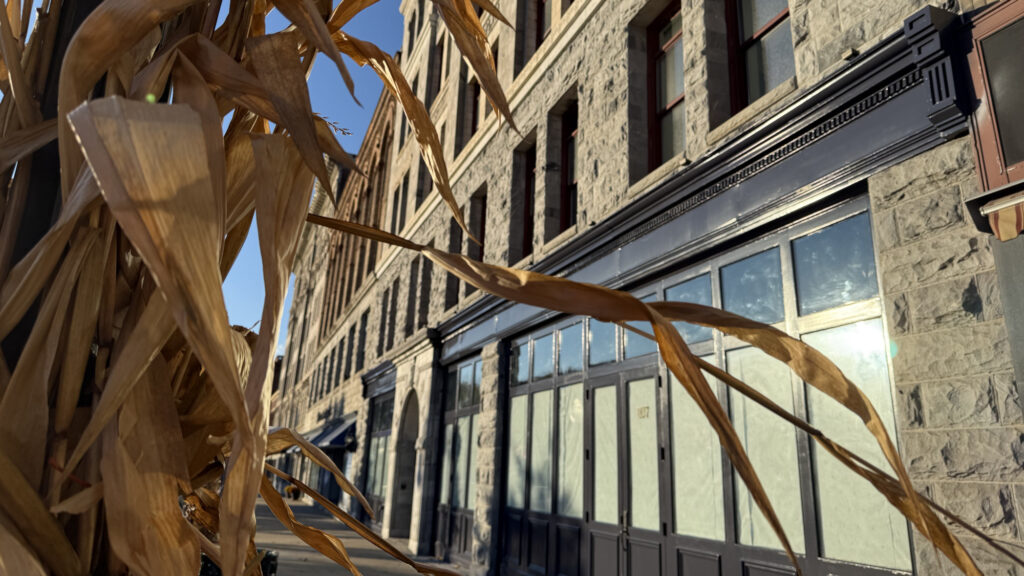 Sunlight catches in shop windows on the main street of North Adams on a November day. Photo by Kate Abbott