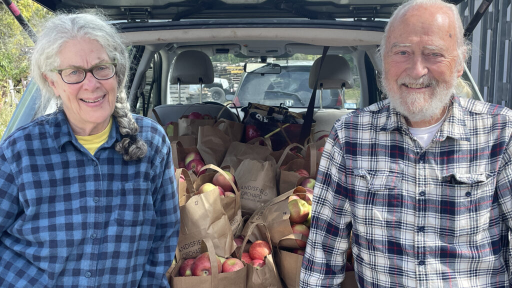 Volunteers for Berkshire Bounty pick up local apples to deliver to meal sites and food pantries. Press photo courtesy of Berkshire Bounty